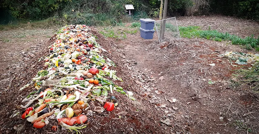Imatge de residus orgànics a l'Hort de La Sínia Altafulla
