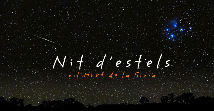 nit_destels