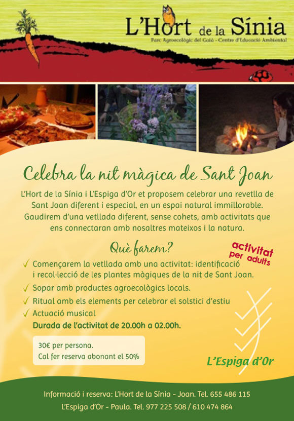 sant_joan_2015