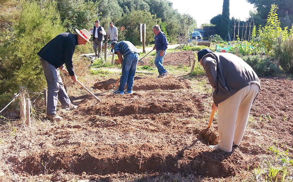 taller_altafulla_horticultura02