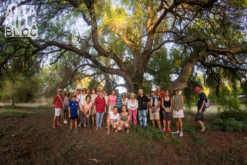 Visites guiades Altafulla Hort de la Sínia